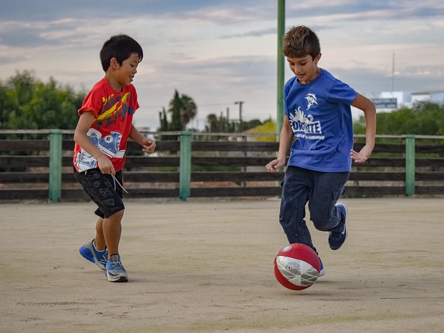 2026年世界排球联赛巅峰对决，中国男女排冲击奥运资格
