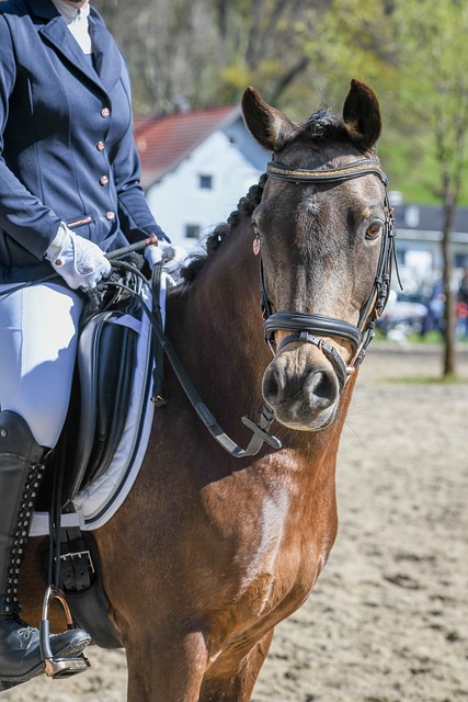 侯森：真不想看到一次次从门里捡球了；我们离不了球迷的支持