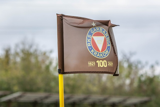 斯内德：贝尼特斯接手国米的时机很糟糕，我没说他是最差教练