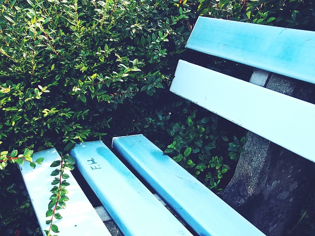 与本土新秀 与本土新秀