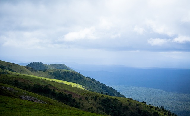 团的目光 团的目光
