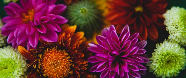 功的秘诀 功的秘诀