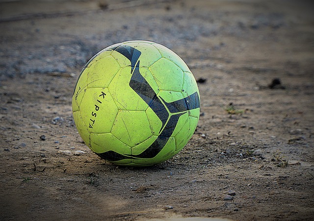 使未来欧洲 使未来欧洲