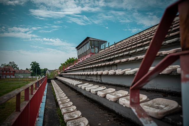 经验丰富的 经验丰富的