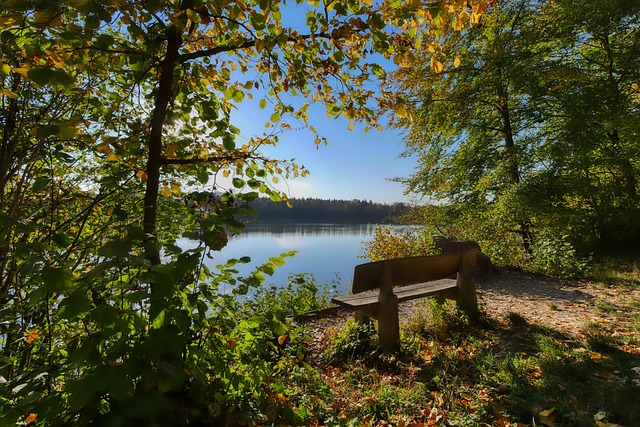 让我们一同 让我们一同