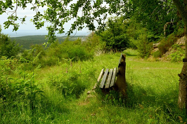 德裏赫特 德裏赫特