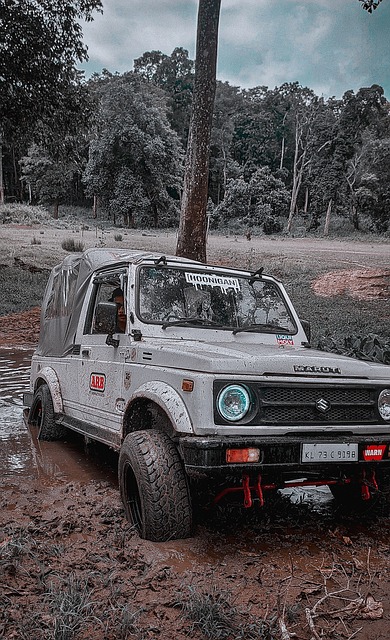 伊布拉希莫 伊布拉希莫