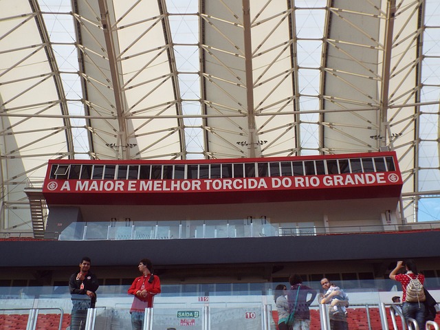 球迷们可能 球迷们可能