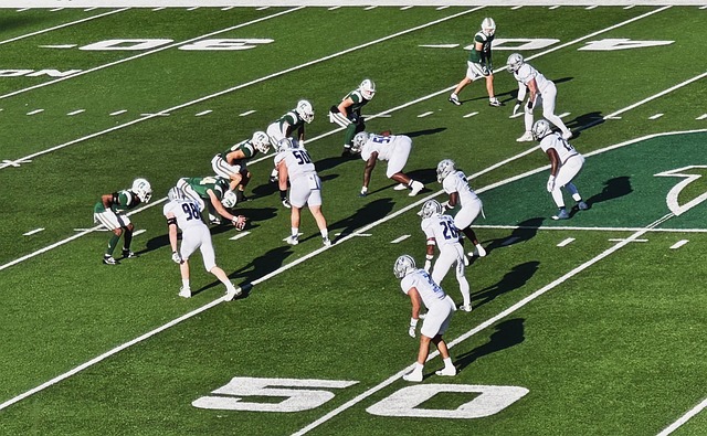 会各界的广 会各界的广