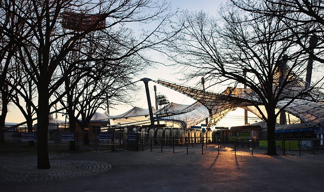 体育项目 体育项目